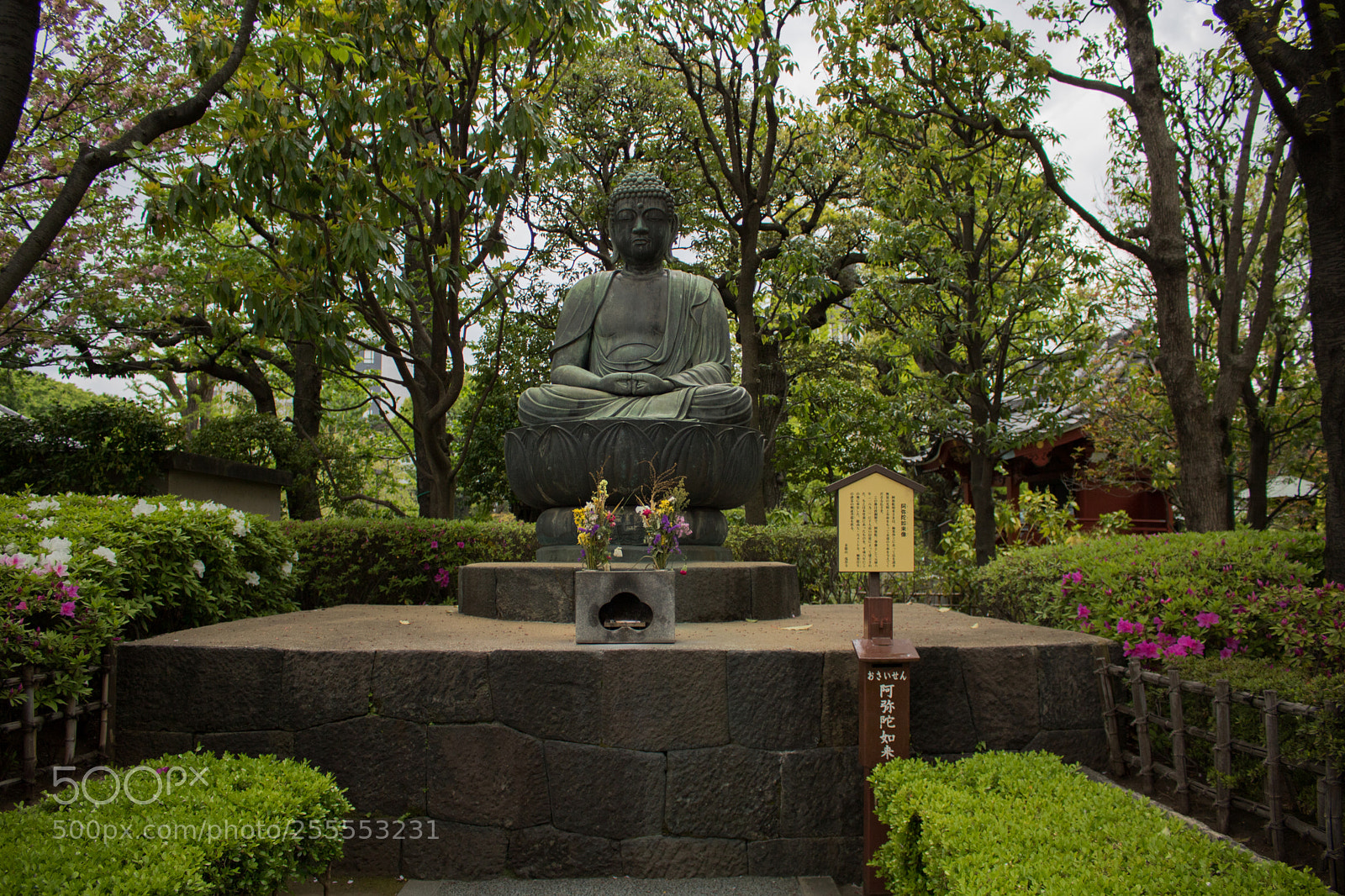Canon EOS 750D (EOS Rebel T6i / EOS Kiss X8i) sample photo. Open up photography
