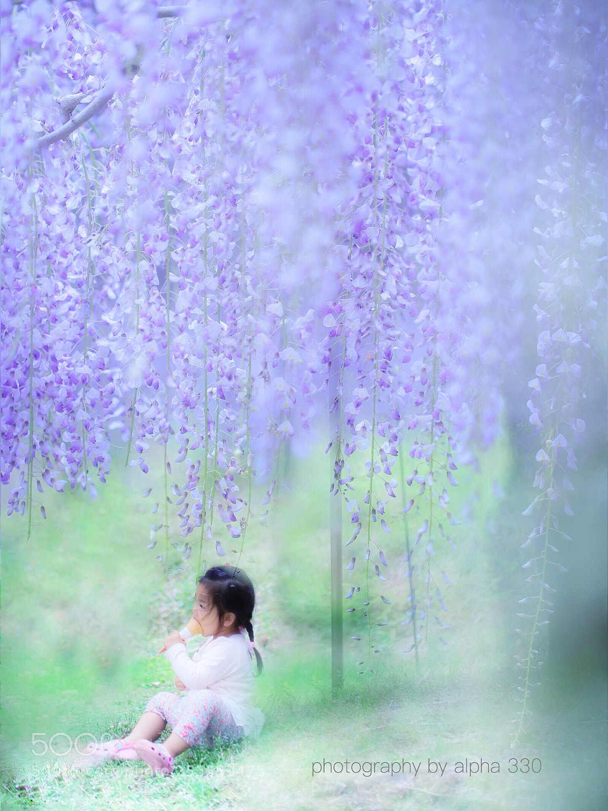Canon EOS 6D Mark II sample photo. Purple shower photography