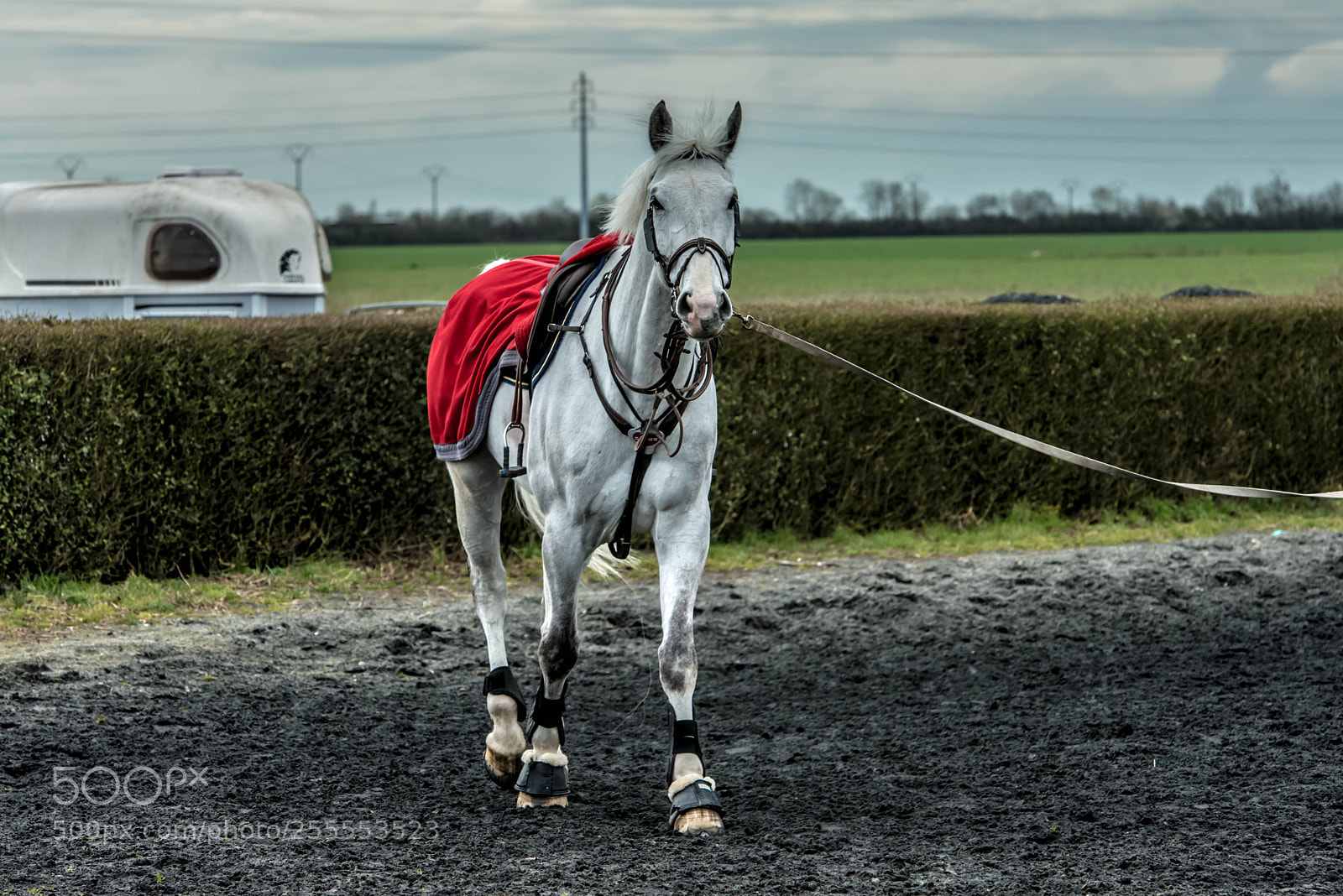 Nikon D800 sample photo. Hénin beaumont.france. photography