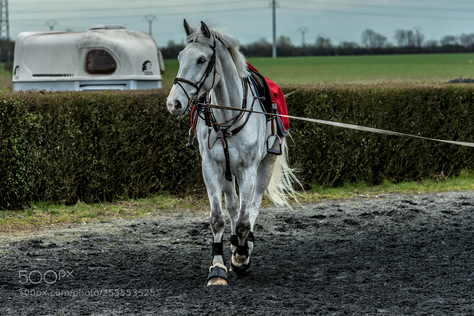 Nikon D800 sample photo. Hénin beaumont.france. photography