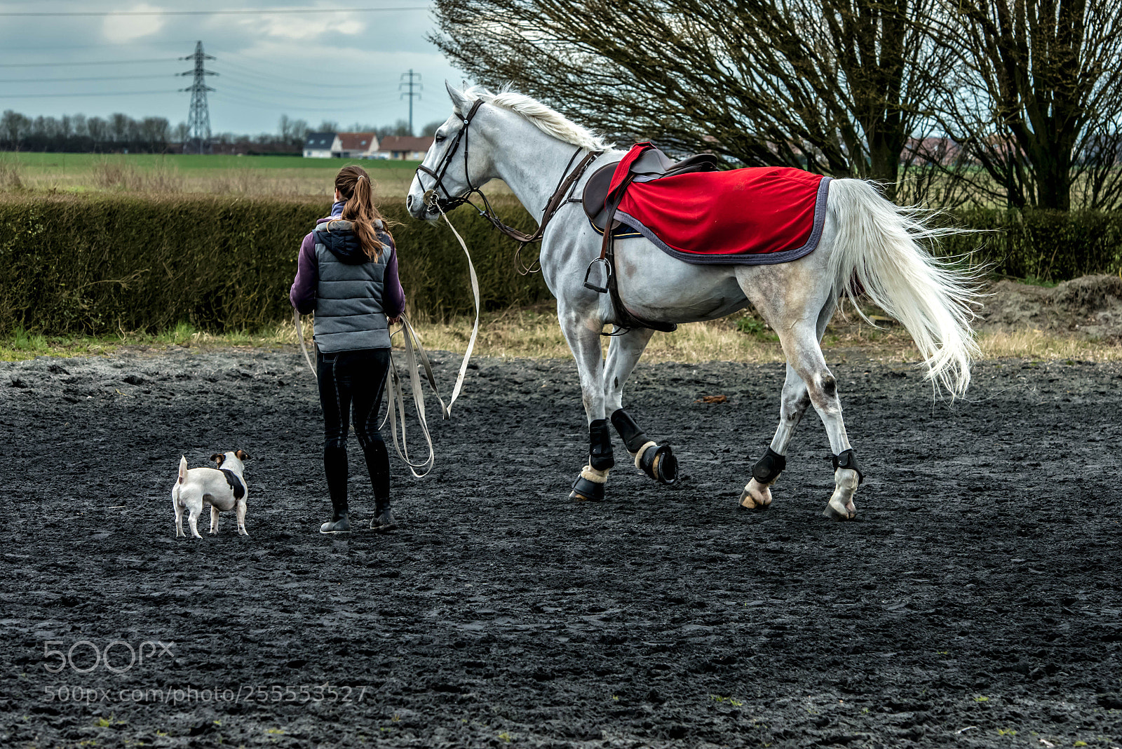 Nikon D800 sample photo. Hénin beaumont.france. photography