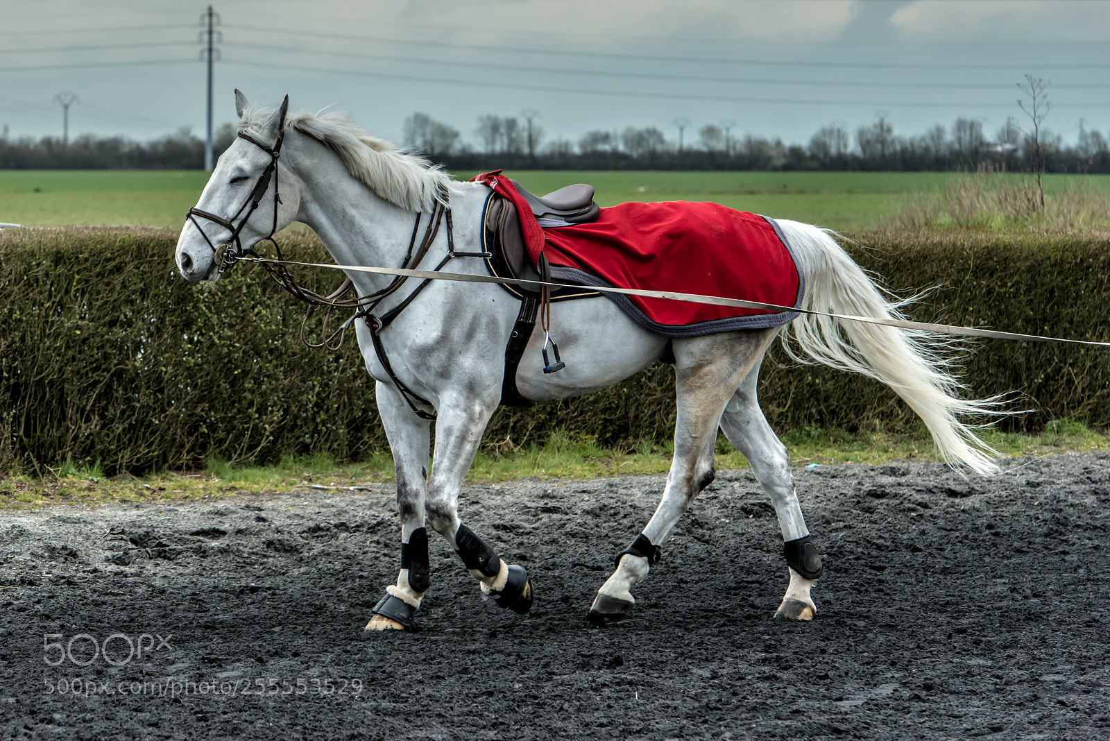 Nikon D800 sample photo. Hénin beaumont.france. photography