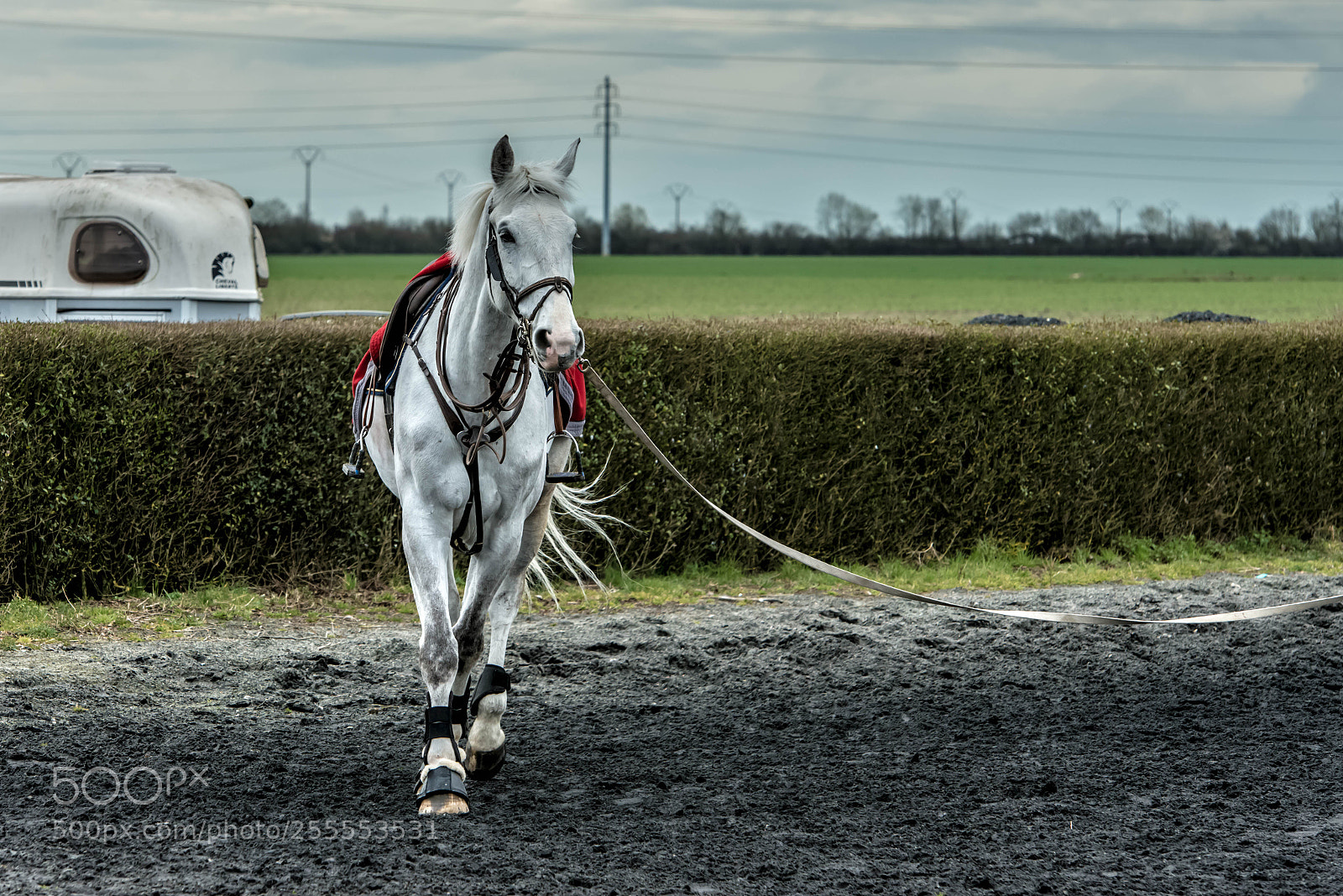 Nikon D800 sample photo. Hénin beaumont.france. photography