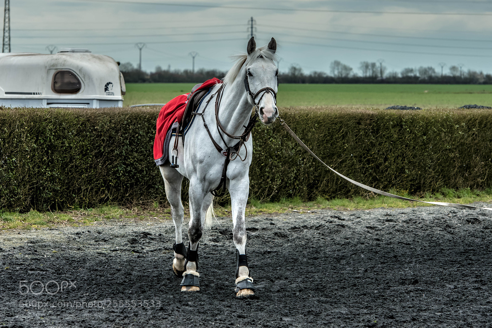 Nikon D800 sample photo. Hénin beaumont.france. photography