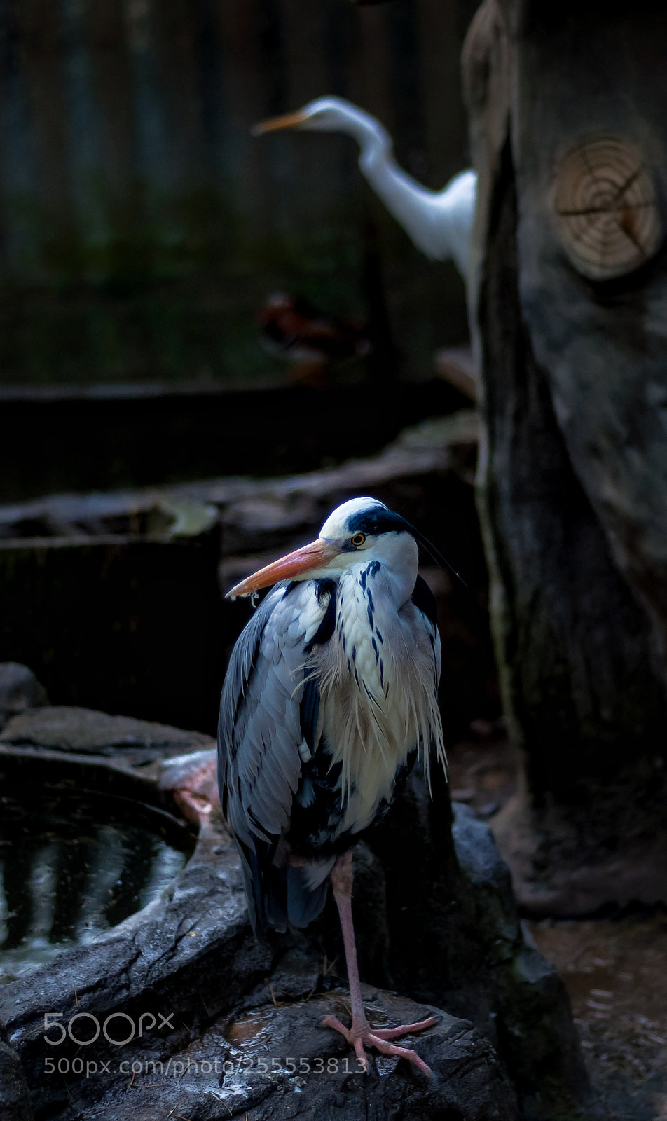 Nikon D90 sample photo. Untitled photography