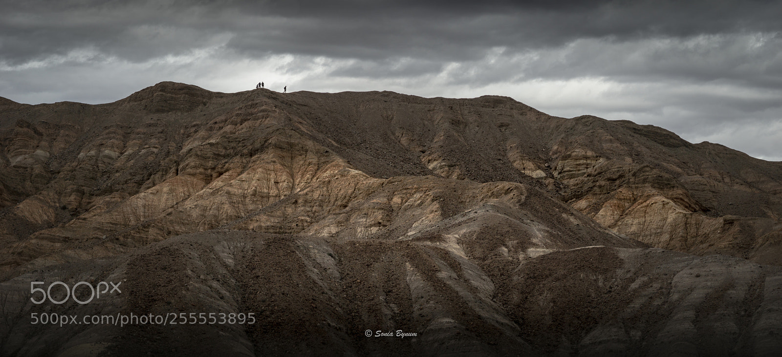 Sony a6000 sample photo. On the ridge photography