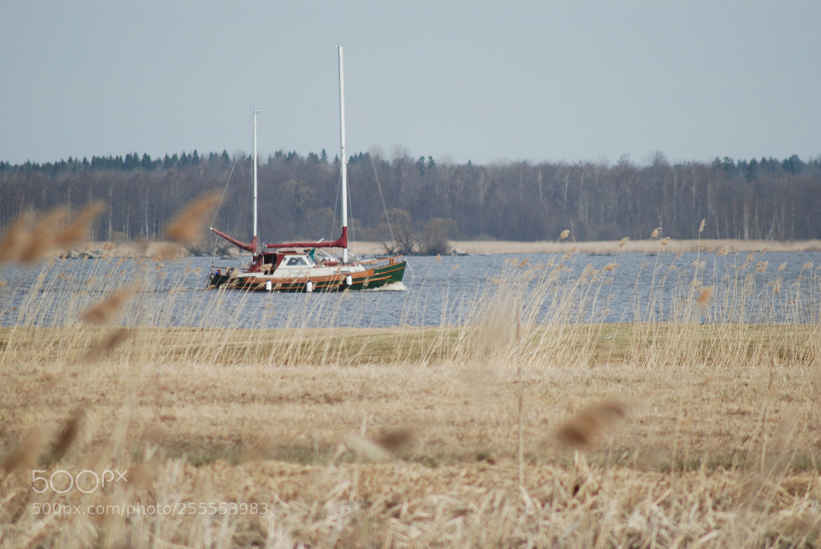 Nikon D80 sample photo. The boat photography