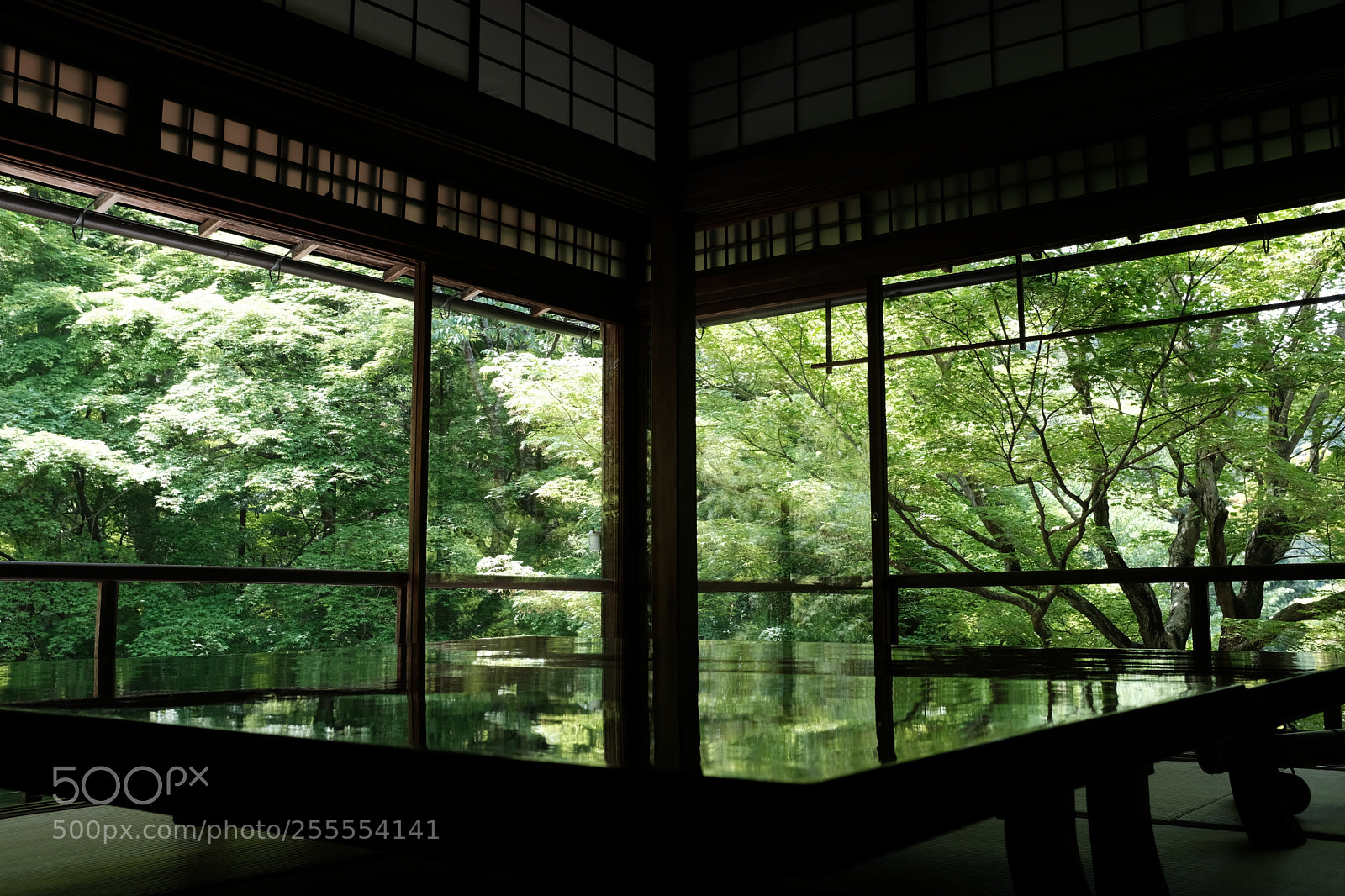 Fujifilm X100F sample photo. Kyoto 瑠璃光院 photography