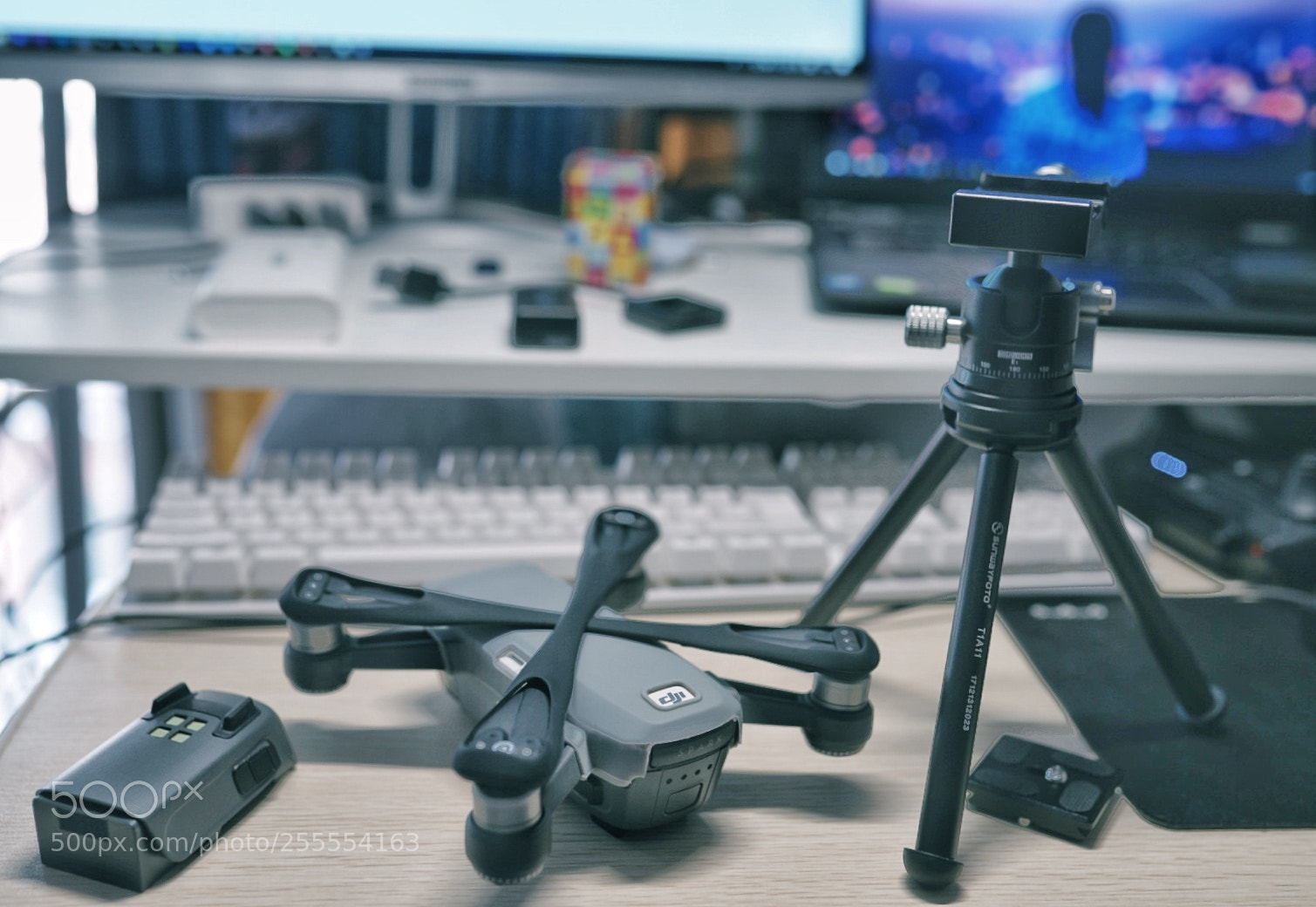 Sony a7 II sample photo. 渴望正能量 photography