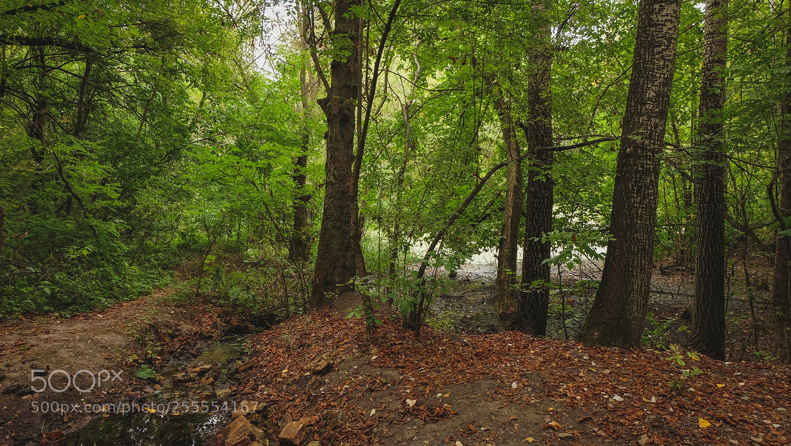 Fujifilm X-A1 sample photo. Untitled photography