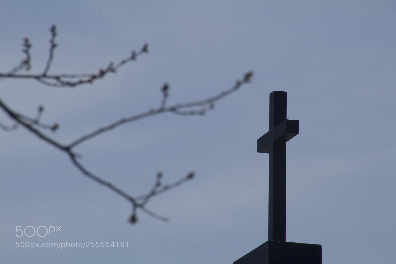 Canon EOS 1200D (EOS Rebel T5 / EOS Kiss X70 / EOS Hi) sample photo. Branch and high cross. photography