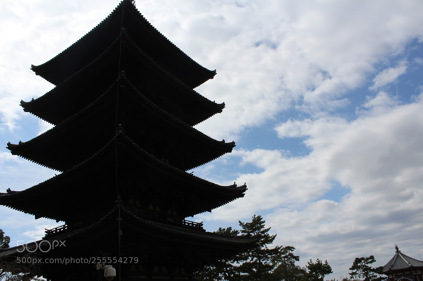 Canon EOS 1200D (EOS Rebel T5 / EOS Kiss X70 / EOS Hi) sample photo. Shadow photography