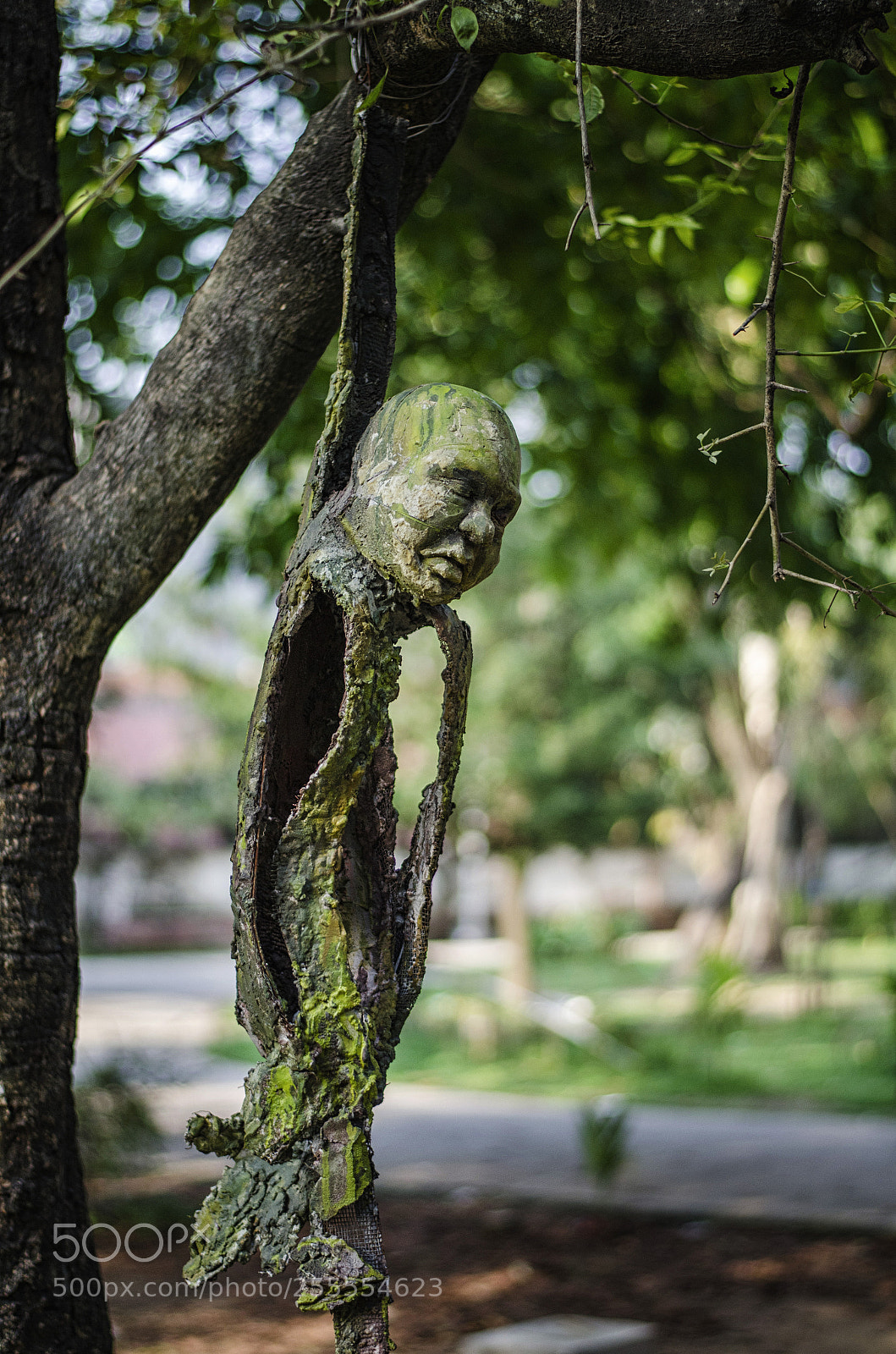 Nikon D7000 sample photo. Hanged! photography