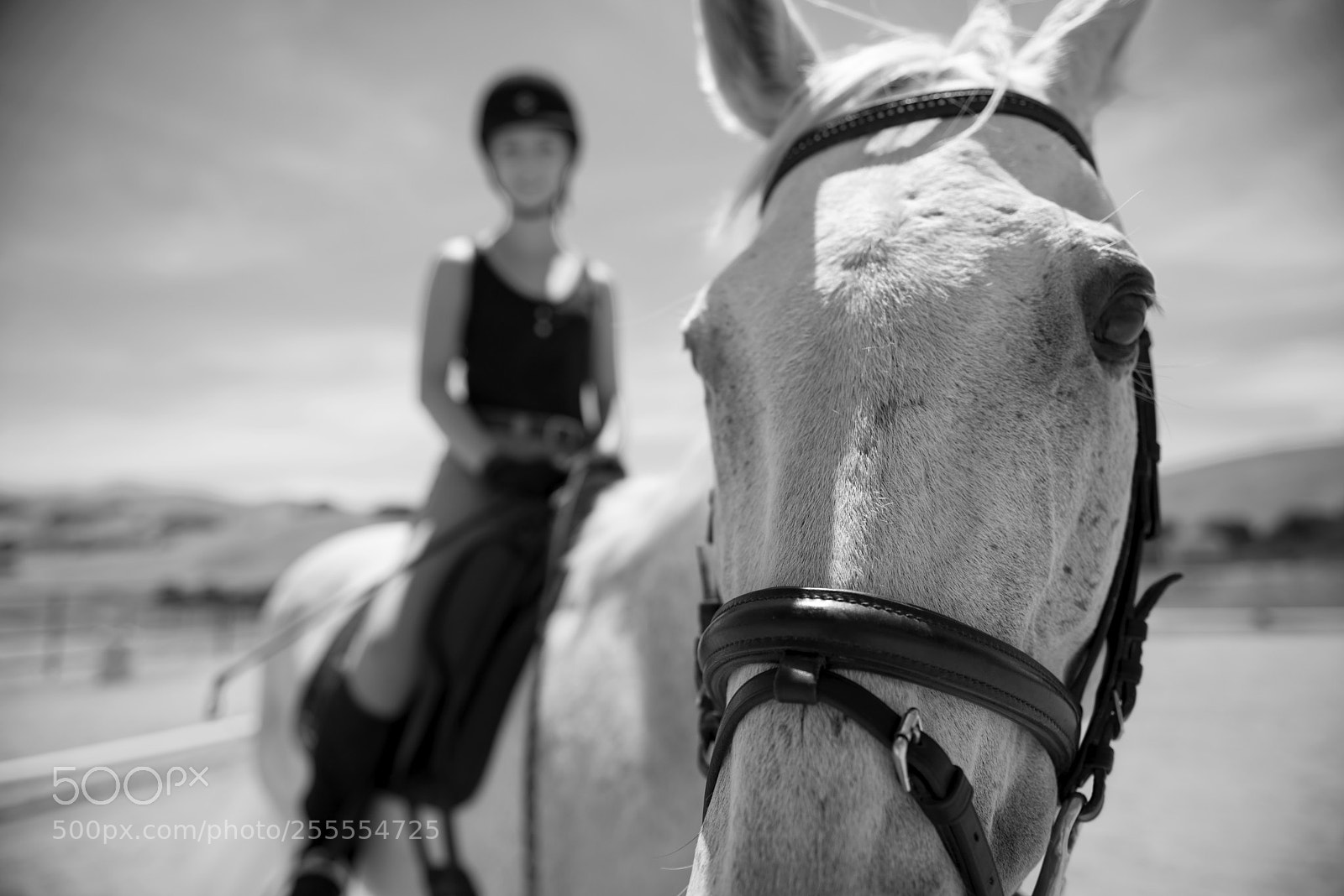 Nikon D610 sample photo. Skylar & haley photography