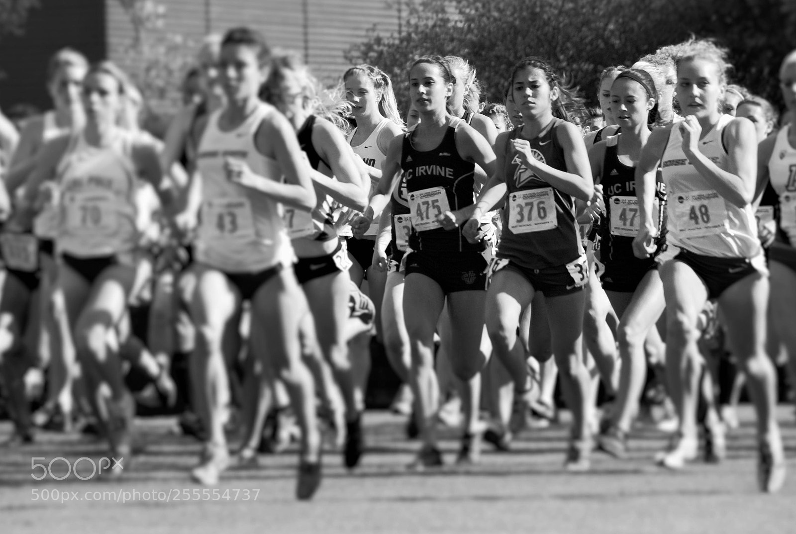 Canon EOS 700D (EOS Rebel T5i / EOS Kiss X7i) sample photo. Stanford race photography
