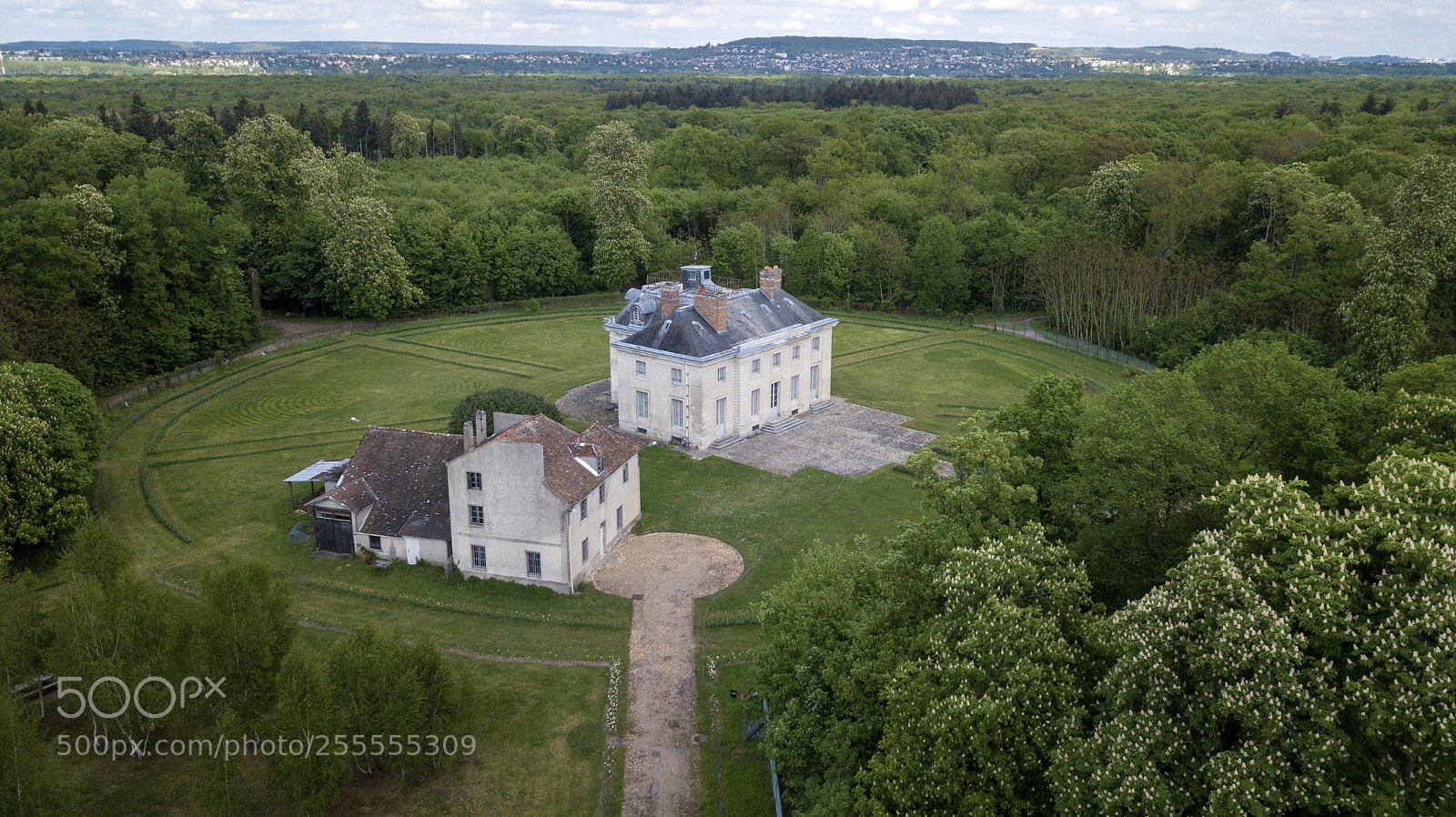 DJI FC220 sample photo. Pavillon de la muette photography