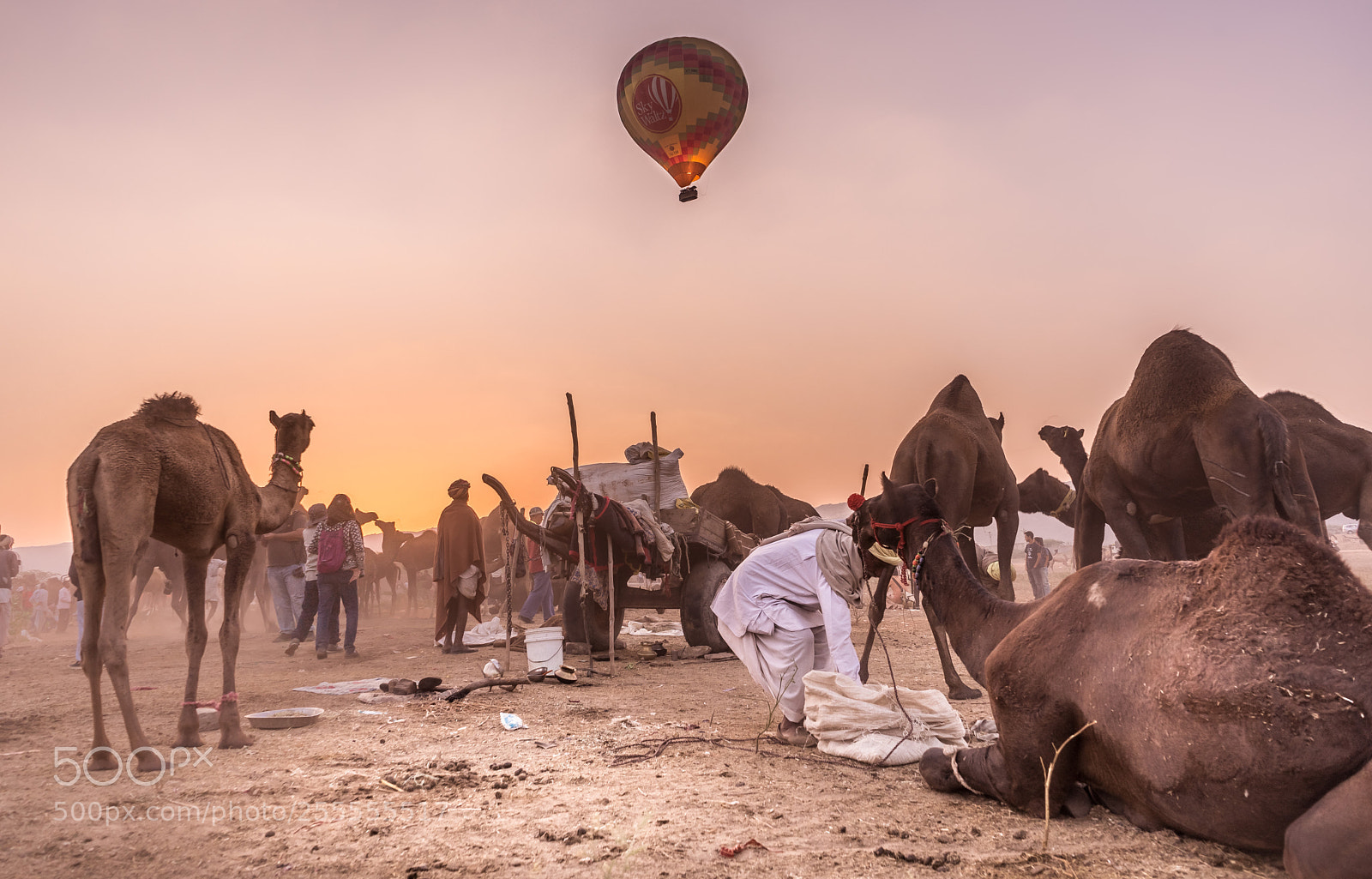 Sony a7 II sample photo. Desert life photography