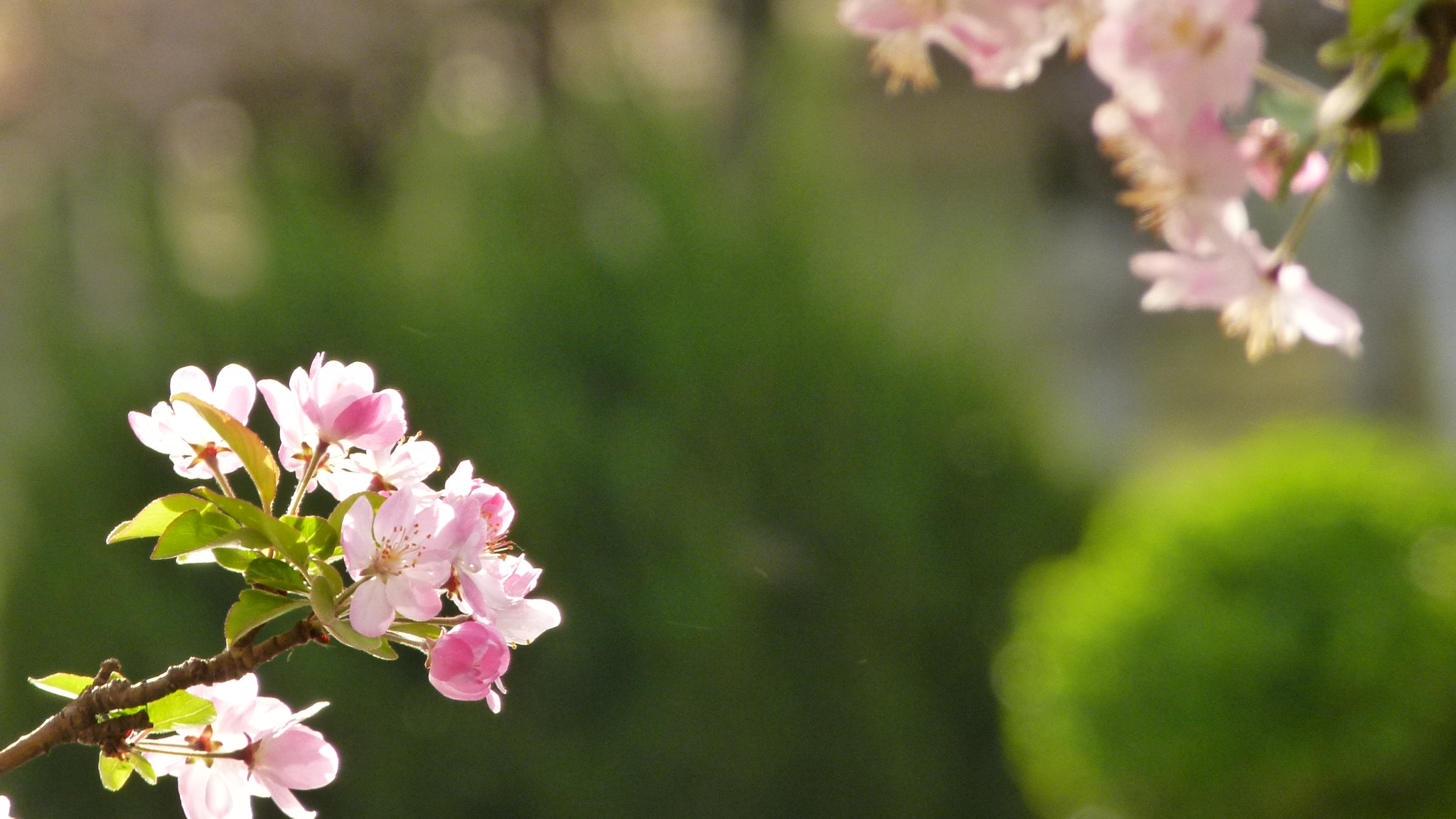 Leica V-Lux 2 sample photo