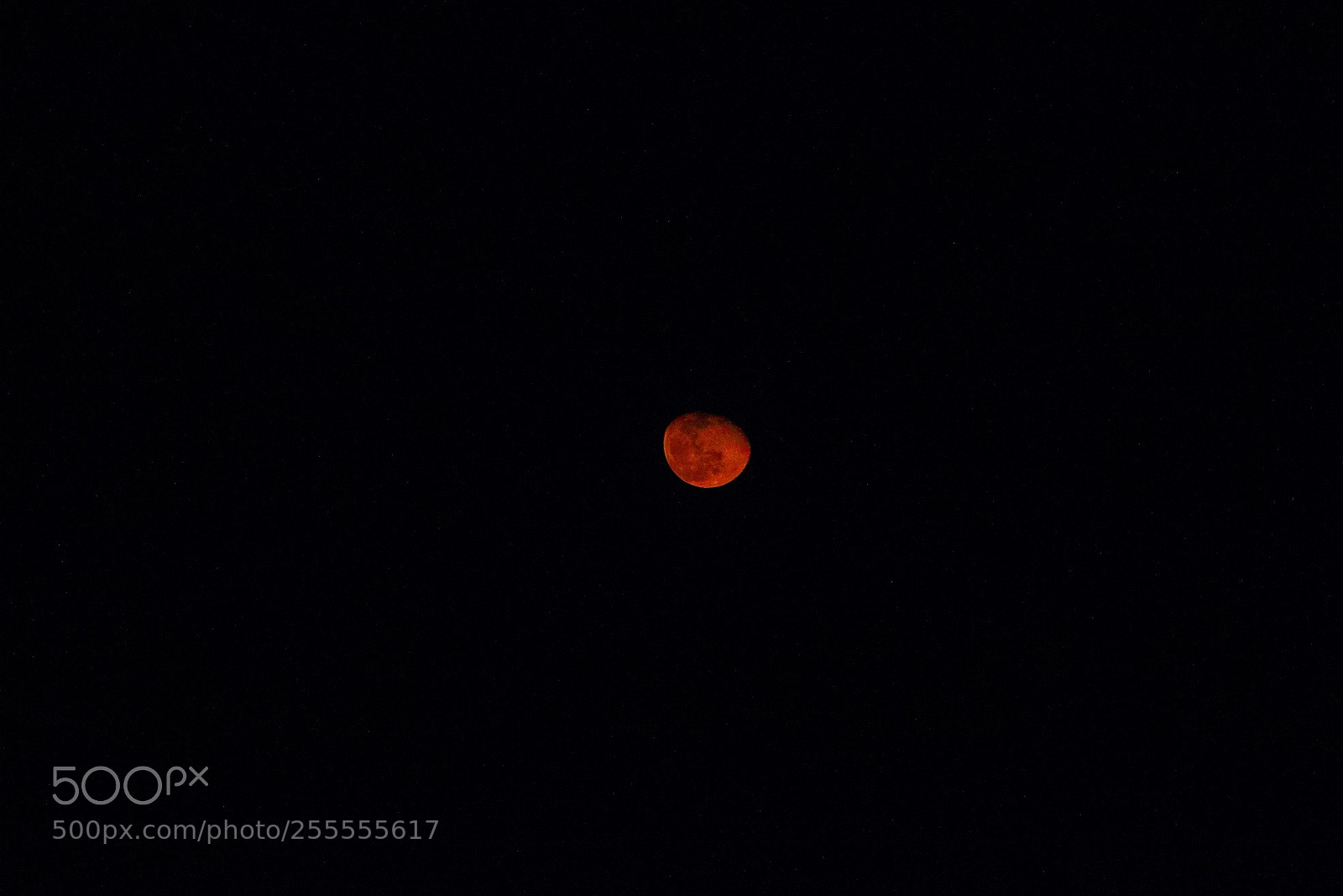 Canon EOS 60D sample photo. Luna roja. photography