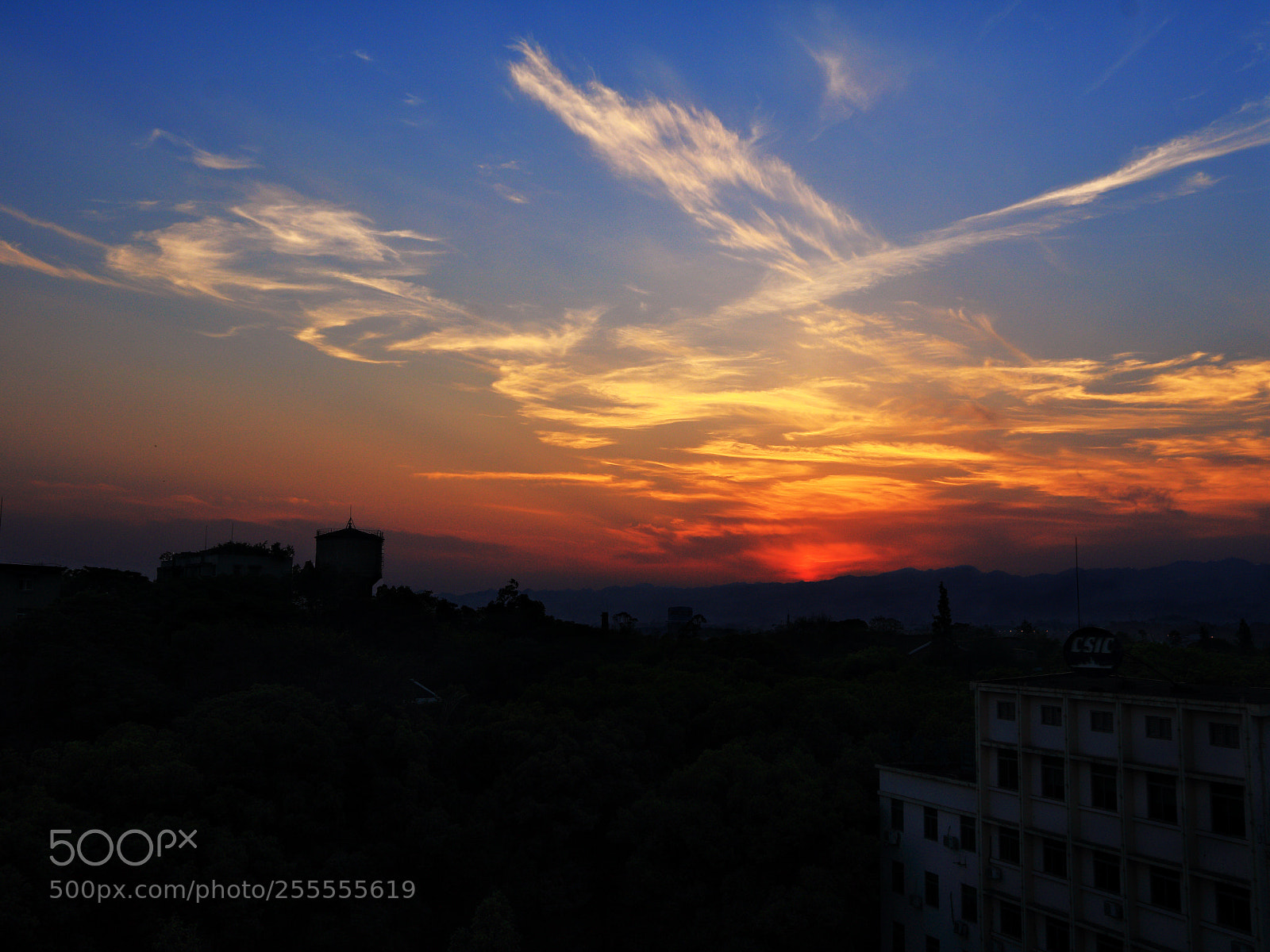 Canon EOS 760D (EOS Rebel T6s / EOS 8000D) sample photo. Untitled photography
