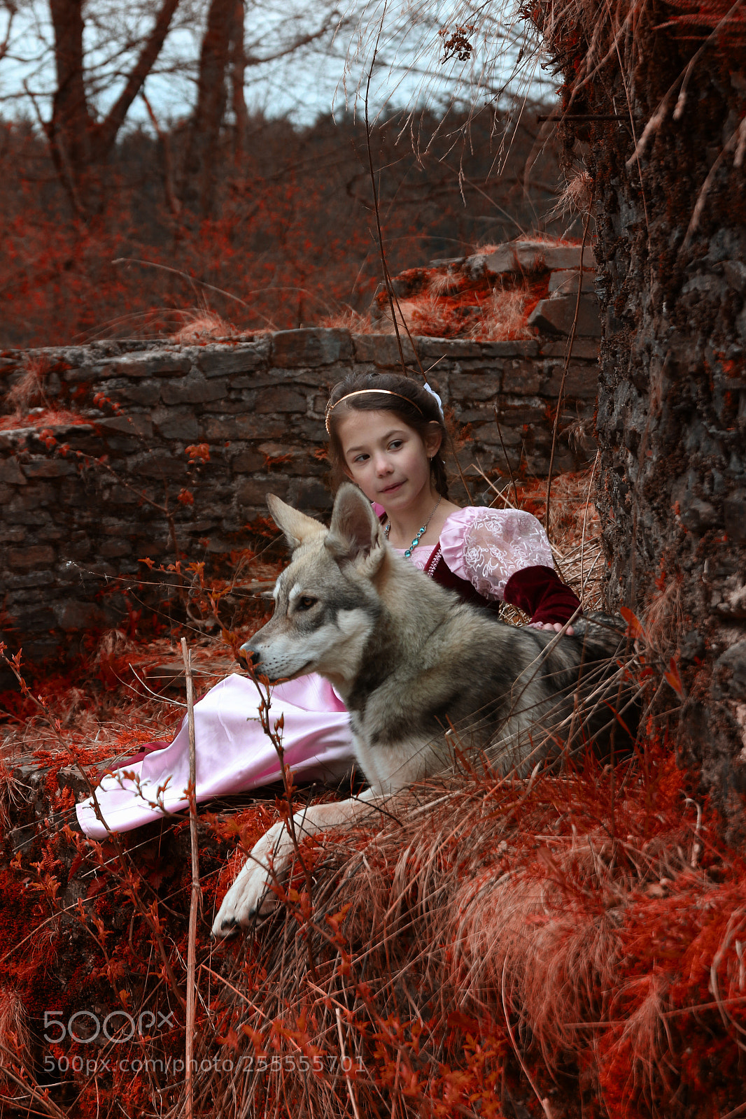 Canon EOS 7D Mark II sample photo. Wolfprincess 22 photography