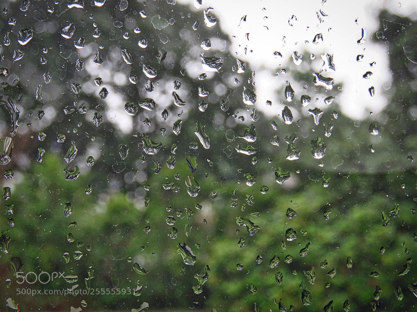 Canon PowerShot SX60 HS sample photo. Rain on the window photography