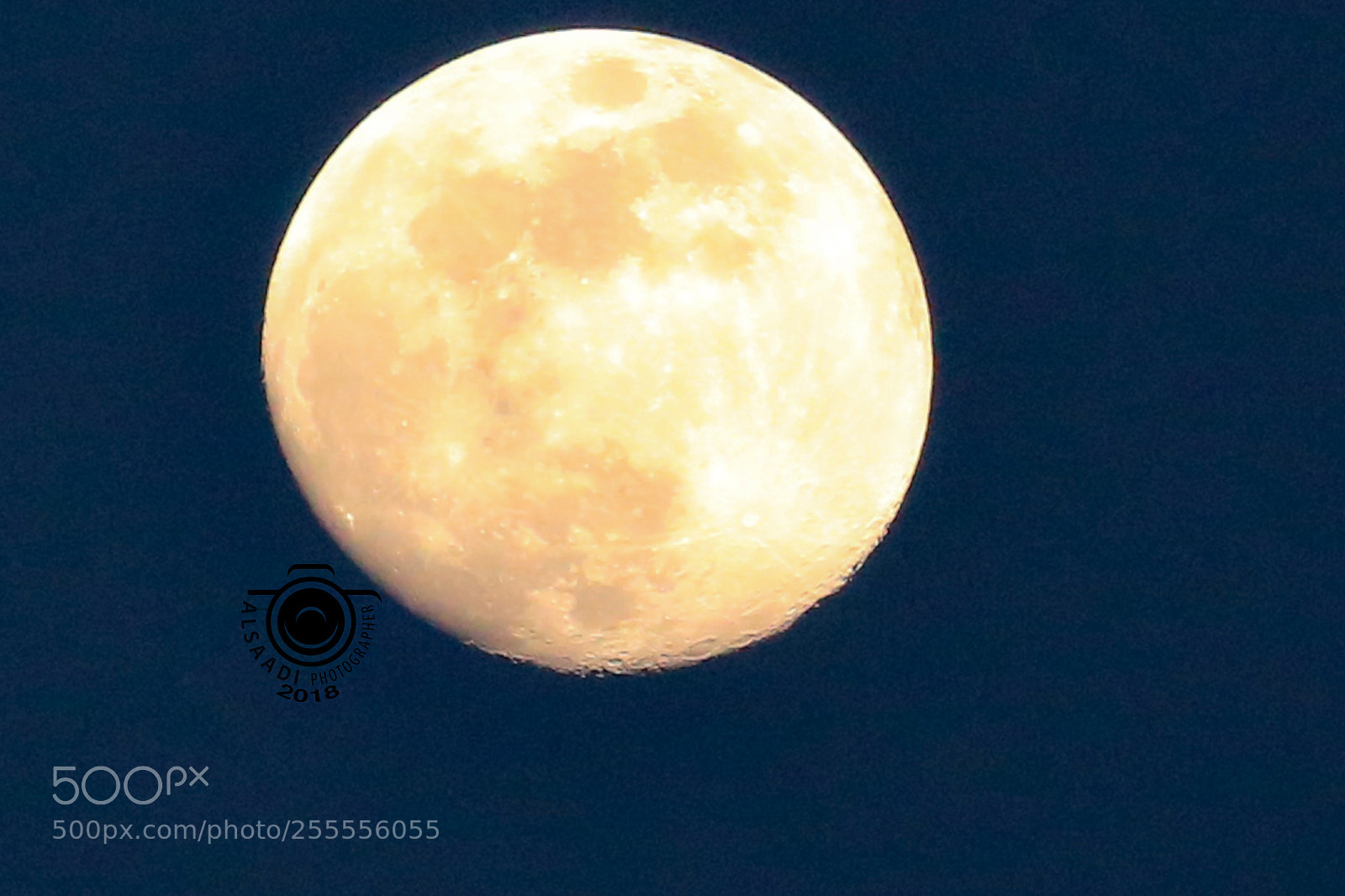 Canon EOS 6D sample photo. Untitled photography