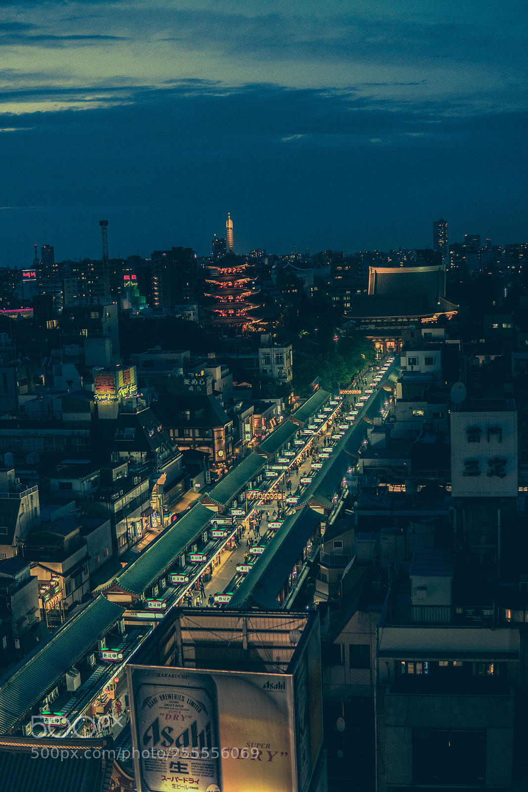 Sony a7R II sample photo. Sensoji night photography