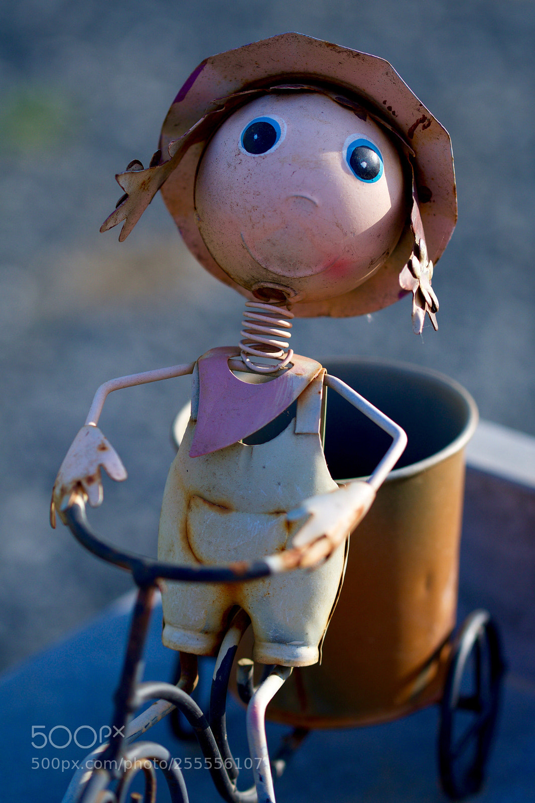 Nikon D500 sample photo. Untitled photography