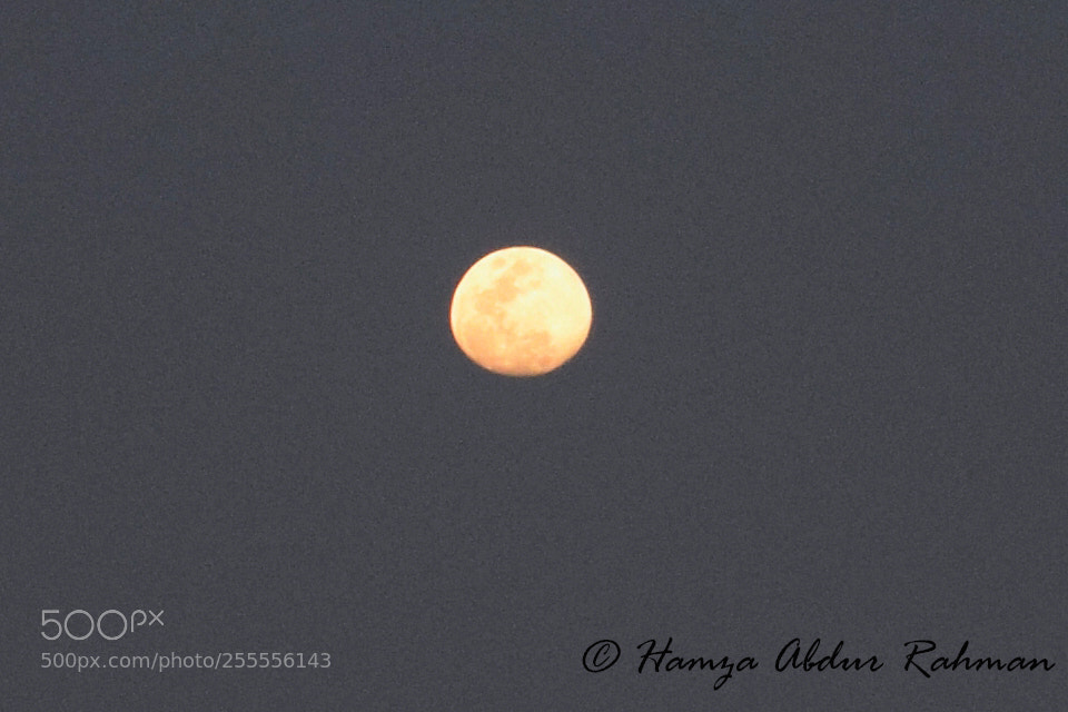 Nikon D3300 sample photo. Moon photography