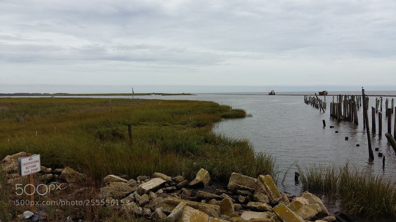 Samsung Galaxy A5 sample photo. Wetland photography