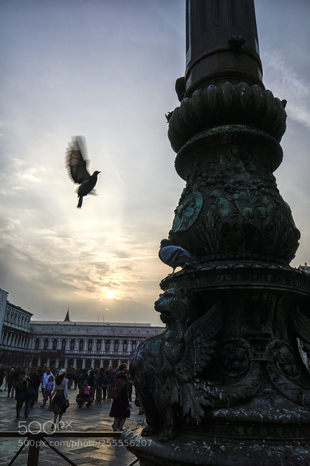 Sony a6000 sample photo. Venice street photography