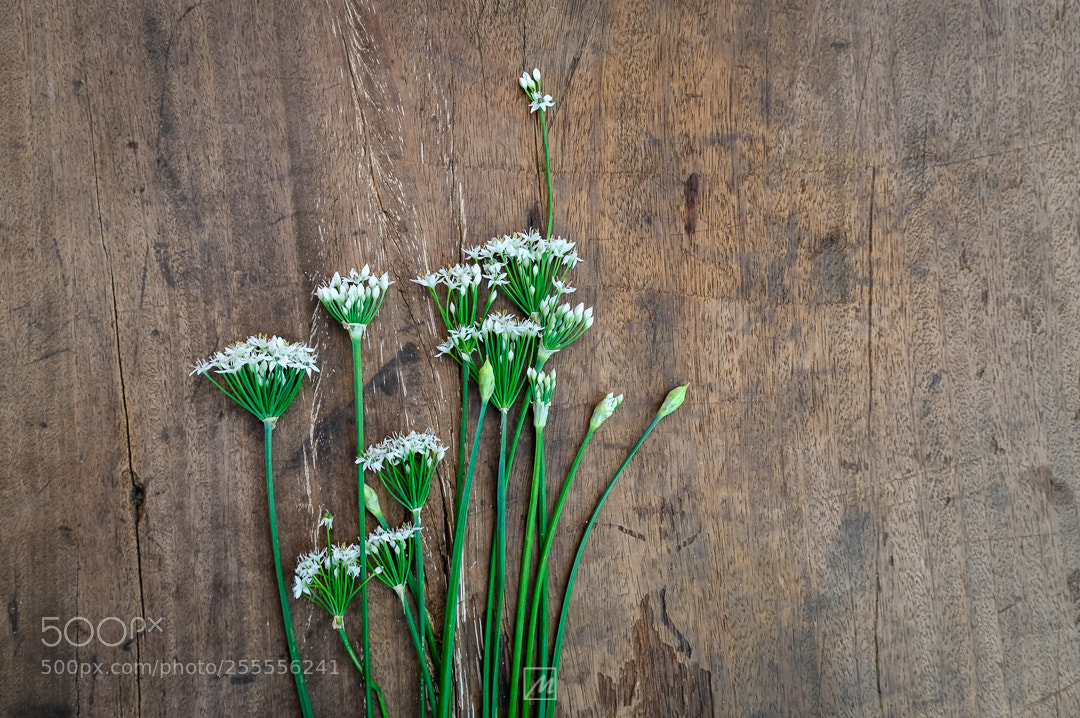 Fujifilm X-Pro1 sample photo. Chinese chives photography