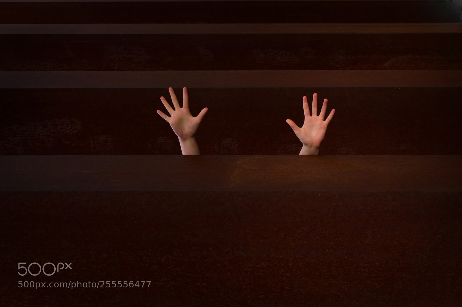 Nikon D5300 sample photo. Challenge hands photography