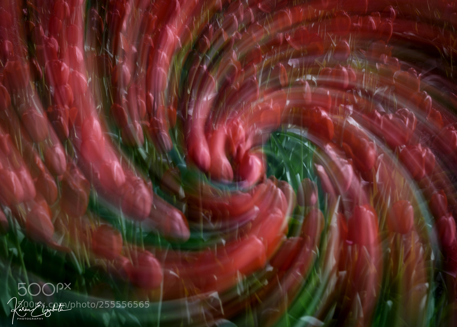 Nikon D600 sample photo. Spiral of vibrance photography