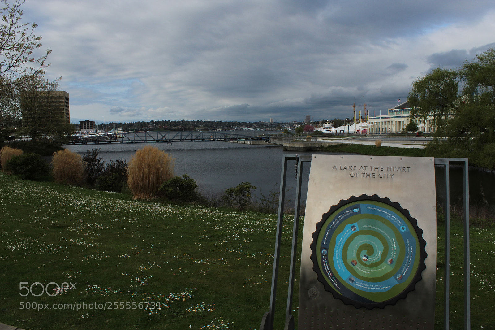 Canon EOS 1300D (EOS Rebel T6 / EOS Kiss X80) sample photo. Lake union photography