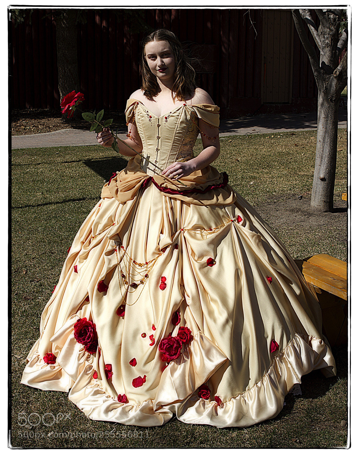 Canon EOS 7D sample photo. Princess rose photography
