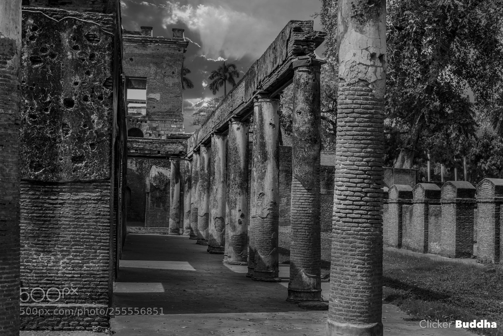 Nikon D610 sample photo. Ruins photography