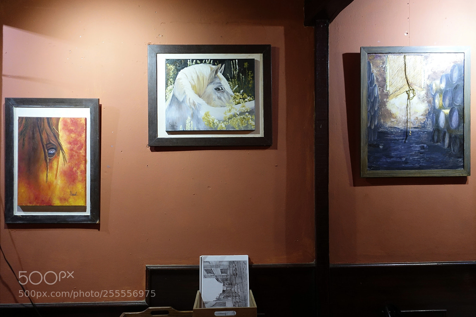 Sony Cyber-shot DSC-RX100 IV sample photo. Exhibition by raquel l photography