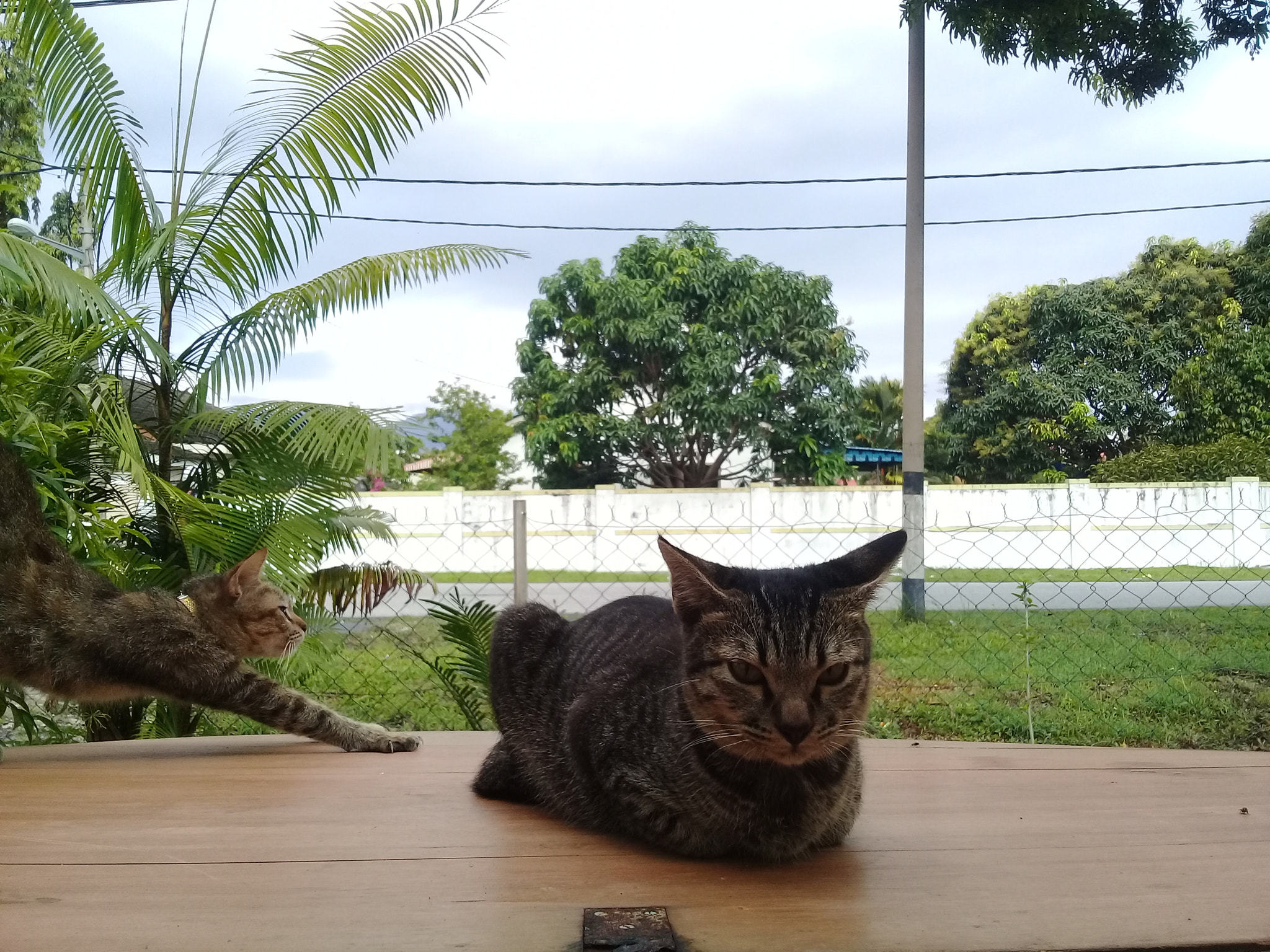 Samsung Galaxy J2 Prime sample photo