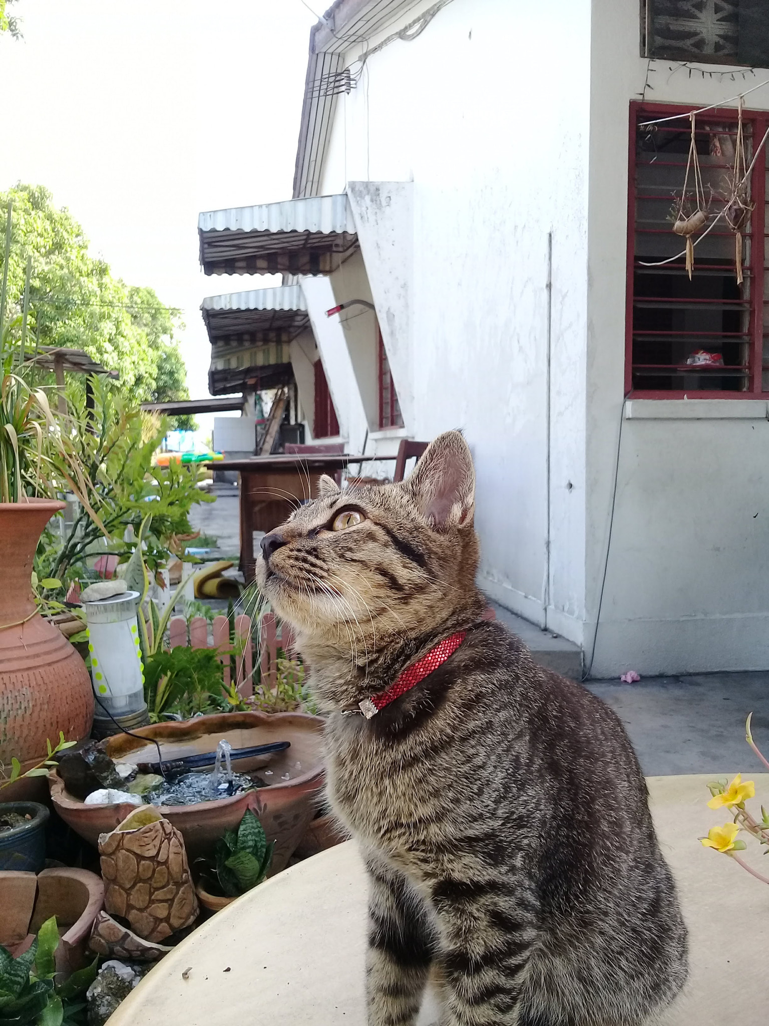 Samsung Galaxy J2 Prime sample photo
