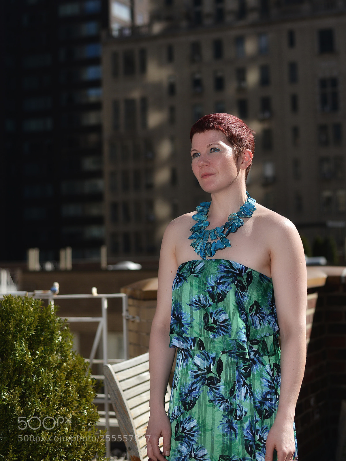 Nikon D800E sample photo. Roof top beauty photography