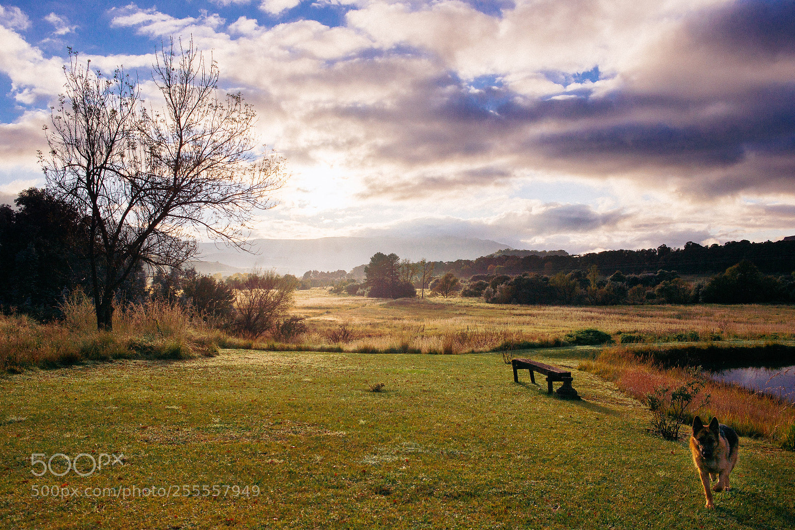 Nikon D600 sample photo. Berg sunrise photography