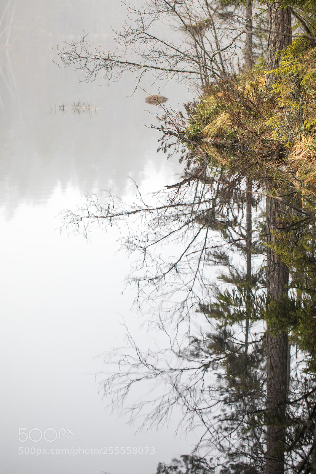 Canon EOS 5D Mark IV sample photo. Lake reflections v photography