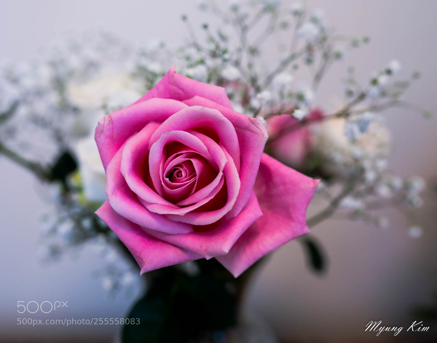 Canon EOS 5D Mark IV sample photo. 3p5a9911-2.jpg photography