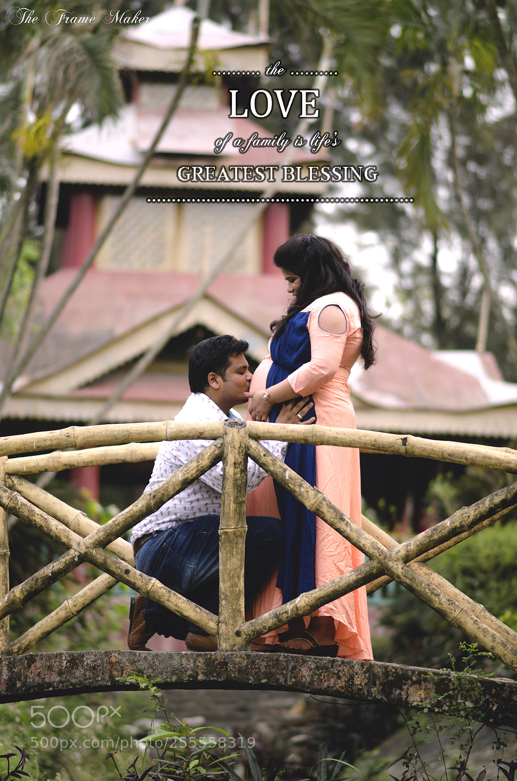 Nikon D7000 sample photo. Untitled photography