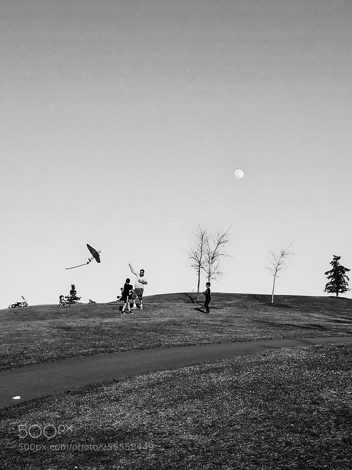 Samsung Galaxy S8 sample photo. Joy photography