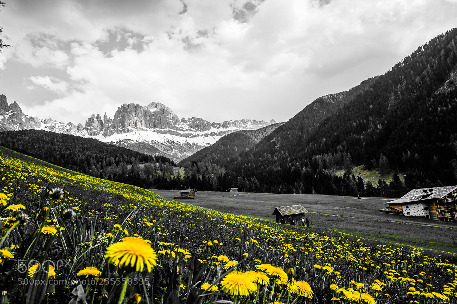 Sony a6000 sample photo. La primavera photography