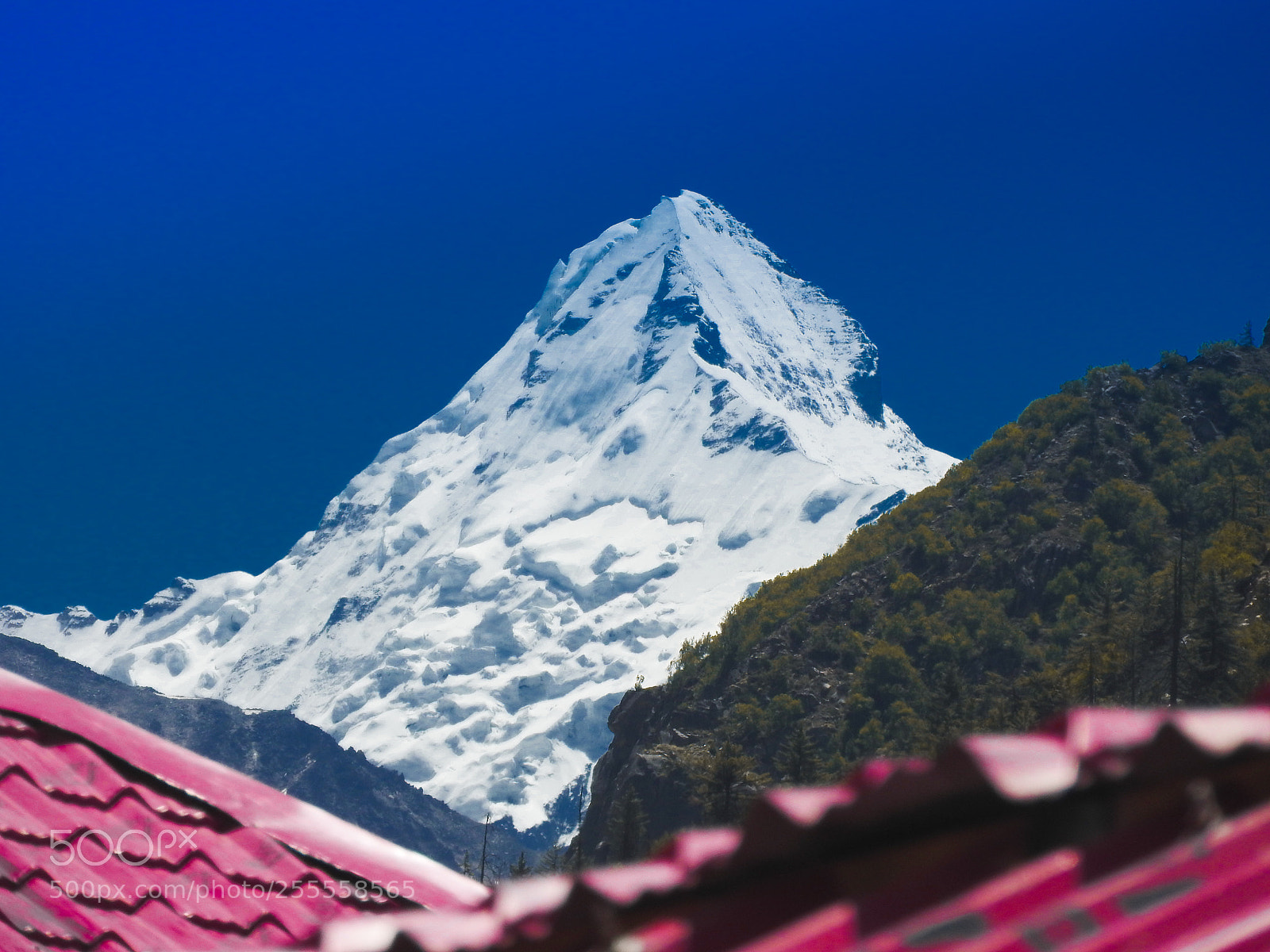 Nikon Coolpix P610 sample photo. Himalayas photography