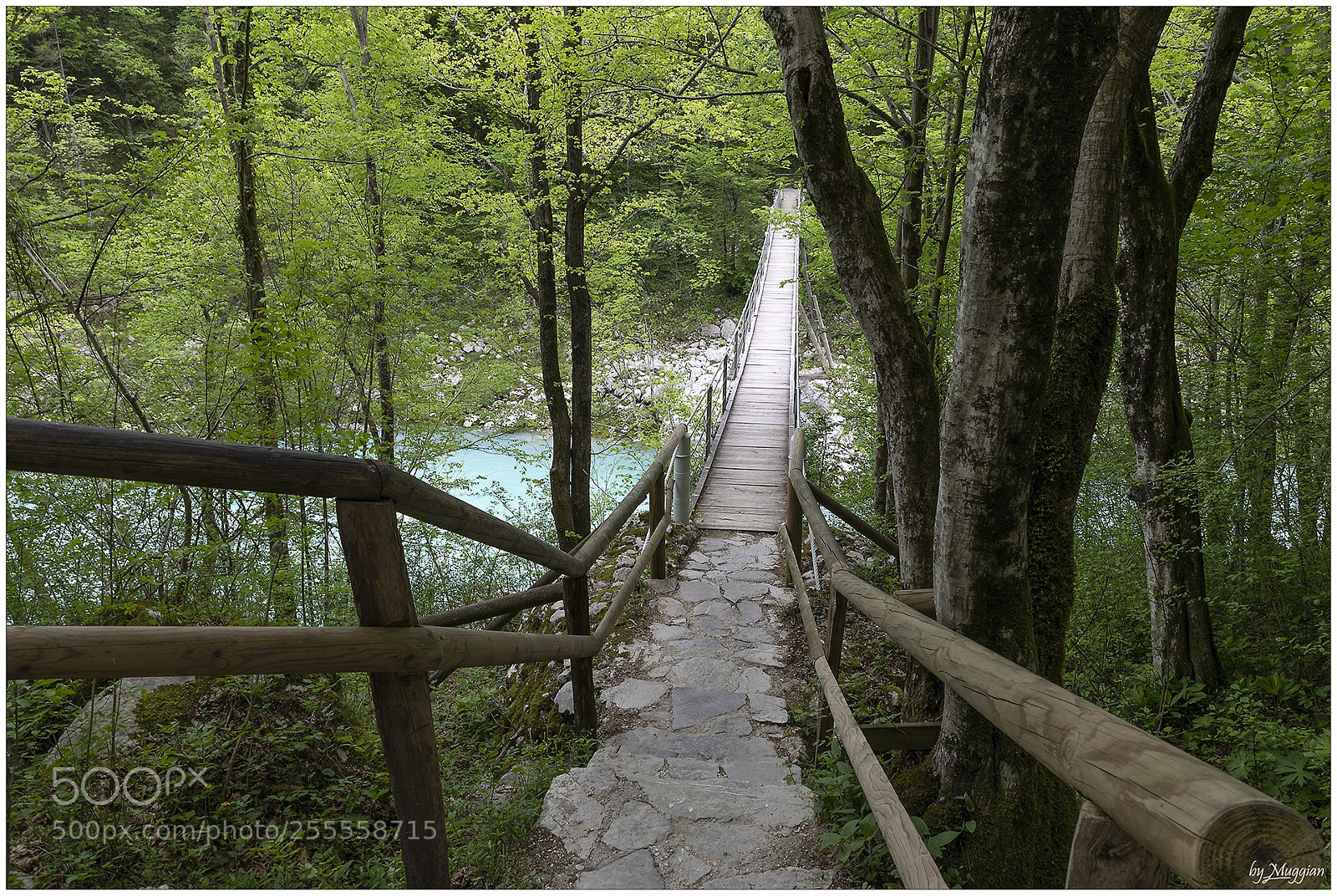 Canon EOS 5D Mark IV sample photo. Bridge photography